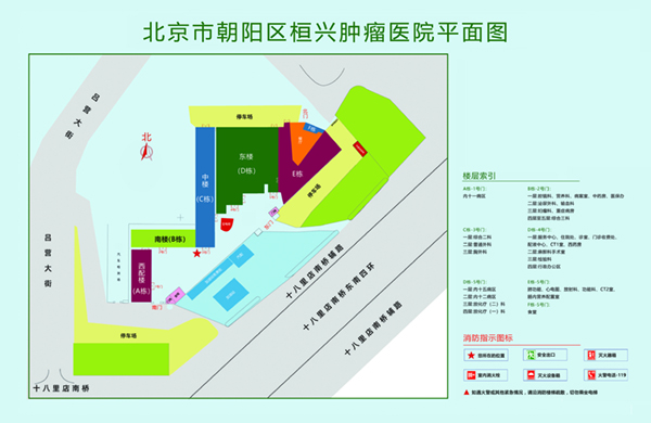 骚逼找操北京市朝阳区桓兴肿瘤医院平面图